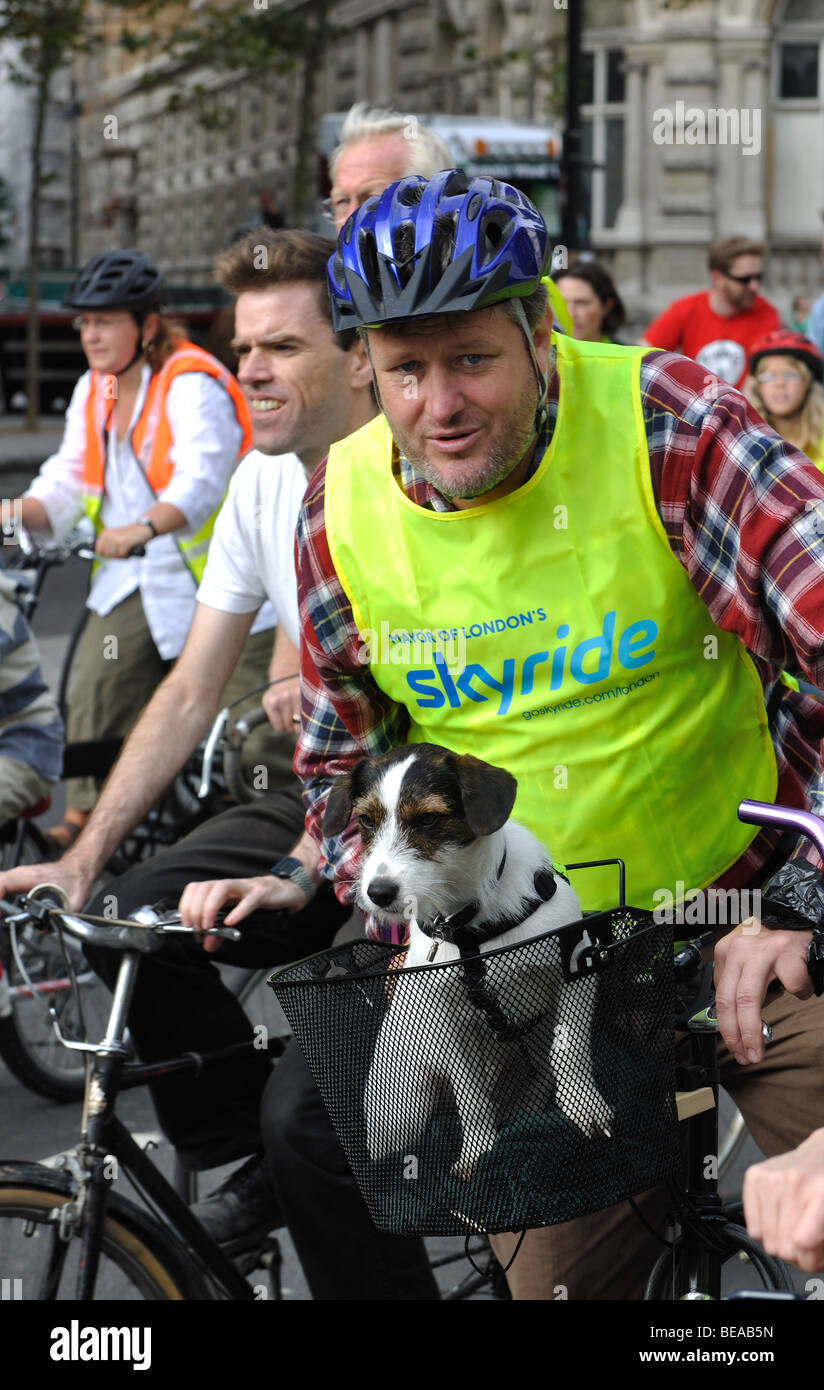 Dog in bicycle basket during Mayor of London`s Skyride, London, England, UK Stock Photo